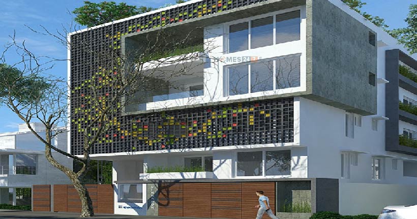 Evantha Cinnamon Cover Image